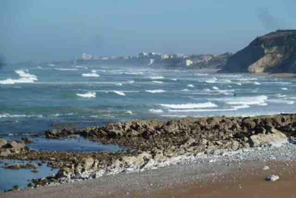 Bidart Cote Basque T3 250 Metres De La Plage 3*** Leilighet Eksteriør bilde